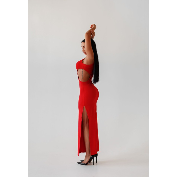 Плаття Dress Fitzona Good Red 14792