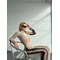 Легінси Legging Cute Fitzona Beige 14808