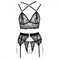 Комплект білизни Abierta Fina Bra Set M мереживний з бретельками та стрінгами