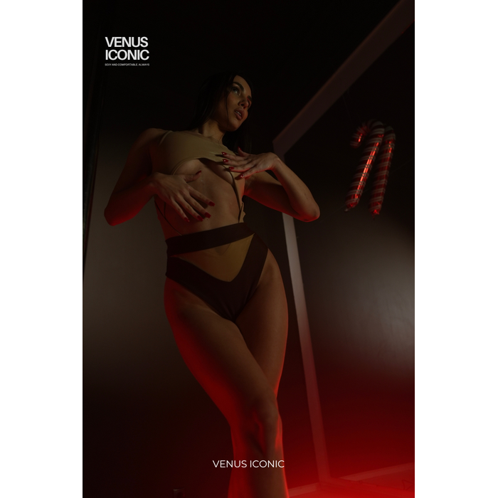 Шорти Venus Iconic Lana Mesh для Pole Dance з сіткою та високою посадкою