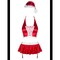 Костюм Миссис Клаус Obsessive Ms Claus Red/White S\M