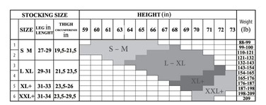 Панчохи на силіконовій стрічці чорні Ballerina's Secret BS113 з візерунком бароко, по всій довжині, S/M