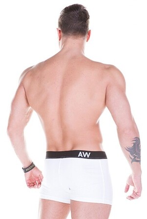 Чоловічі труси NEBBIA AW 101 White