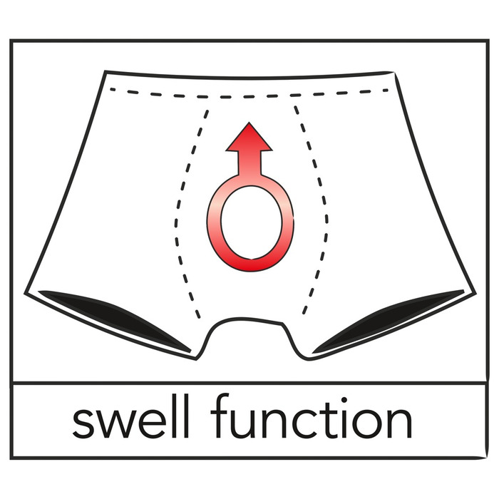 Трусы мужские Men's Pants L