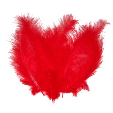 Декоративные перья Obsessive 'Take me to bed!' bed feathers - Red