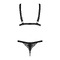 Комплект бюстгальтер та трусики Obsessive Eloissa set Black S/M