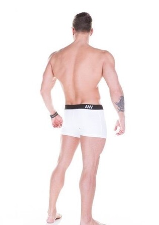 Чоловічі труси NEBBIA AW 101 White