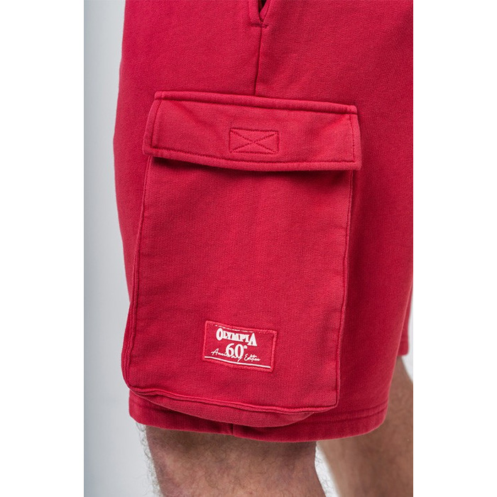 Шорты Nebbia Washed Loose Fit Cargo Shorts LEGACY Red 787