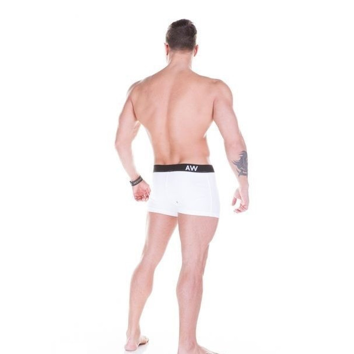 Чоловічі труси NEBBIA AW 101 White